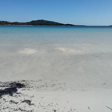 Le Pergole אולביה